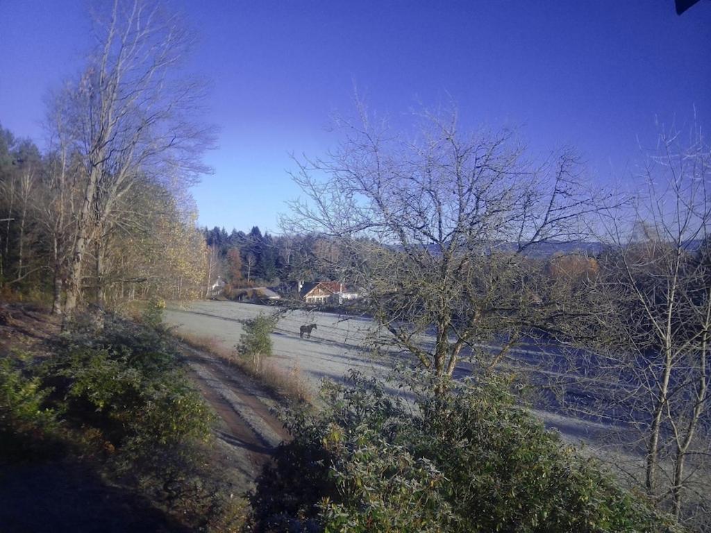 Vosges House 110 M2 In The Heart Of Nature L'Oree Du Bois Saint-Michel-sur-Meurthe Exterior foto